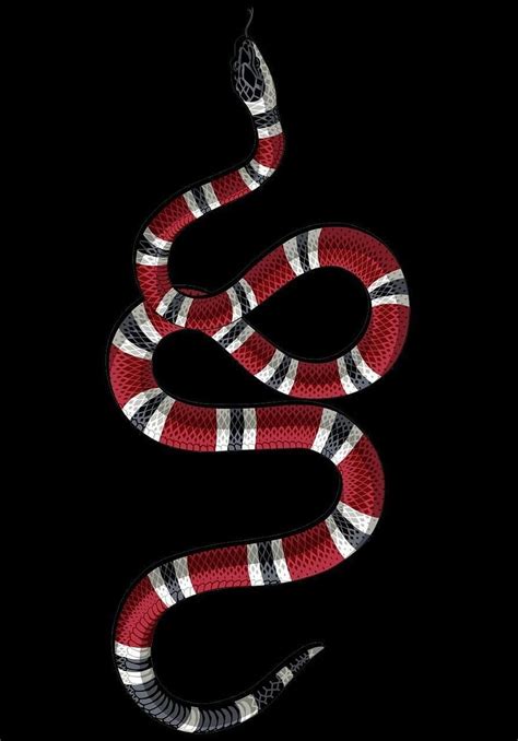 serpiente culebra gucci logo|origin of gucci snake.